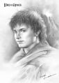 Anna Lee - Frodo.jpg