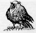 Maret Kernumees - Roäc.jpg
