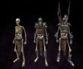 Wights (LOTRO).jpg