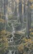 Alan Lee - Lothlórien.jpg