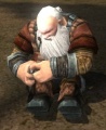 Atli Spiderbane-LOTRO-1.jpg