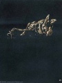 John Howe - Riddles in the Dark - Gollum.jpg