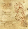 Tuuliky - Nienna.jpg
