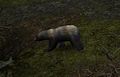 Bear Mirkwood bfme.jpg