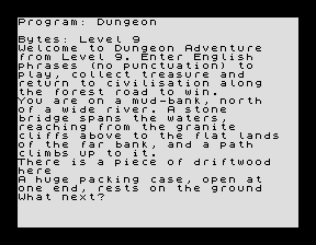 Dungeon Adventure - Opening screen (original).gif