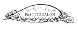 Pauline Baynes - Fastitocalon Chapterhead.jpeg