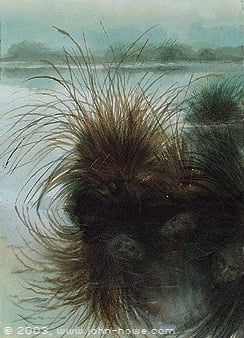 John Howe - Dead Faces.jpg