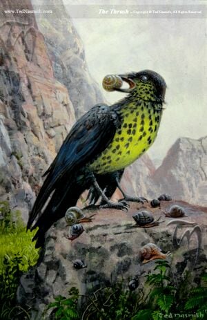 Ted Nasmith - When the Thrush Knocks (II).jpg