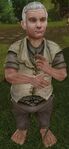 The Lord of the Rings Online