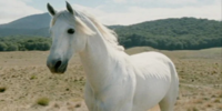 Shadowfax in The Lord of the Rings: The Two Towers