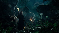 The Lord of the Rings: The Fellowship of the Ring