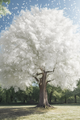 Thumbnail for version as of 00:51, 31 May 2023