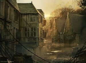 Darek Zabrocki - Morning.jpg