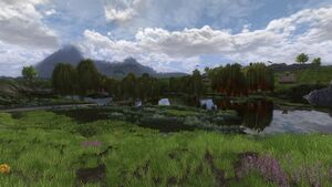 The Lord of the Rings Online - Entwade.jpg