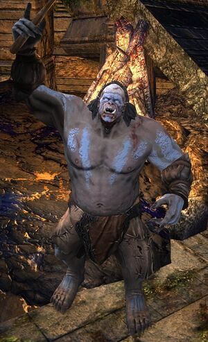The Lord of the Rings Online - Hobgoblins.jpg