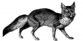 Thumbnail for version as of 17:41, 13 March 2011