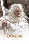 The Lord of the Rings: The Return of the King