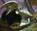 Thumbnail for version as of 20:12, 19 March 2010