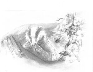 Miriam Ellis - Brock under brian hears Bombadil.jpg