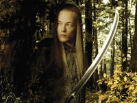 The Lord of the Rings Trading Card Game