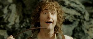 The Lord of the Rings - The Return of the King - Peregrin Took.jpg