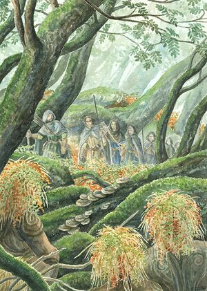 Anke Eißmann - The silent watchers.jpg