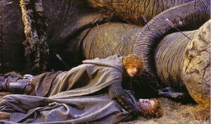 The Lord of the Rings - The Return of the King - Pippin Looks After Merry.jpeg