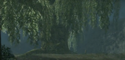 The Lord of the Rings Online