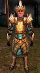 The Lord of the Rings Online