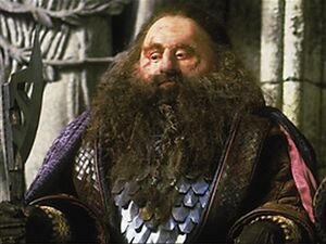 The Lord of the Rings - The Fellowship of the Ring - Farin - Emissary of Erebor.jpeg