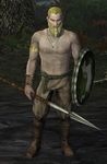 Folca in The Lord of the Rings Online