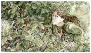 Anke Eißmann - Hiding from the Black Rider.jpg