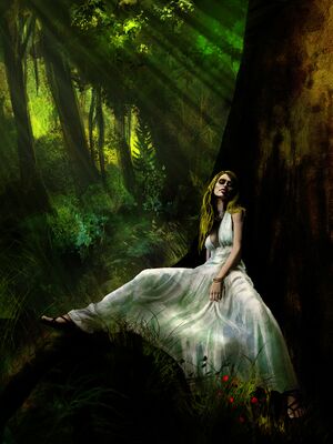 Thomas Rouillard - Vana.jpg