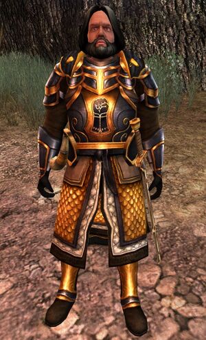 The Lord of the Rings Online - Angbor.jpg