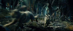 "Rhosgobel Rabbits" in The Hobbit: An Unexpected Journey