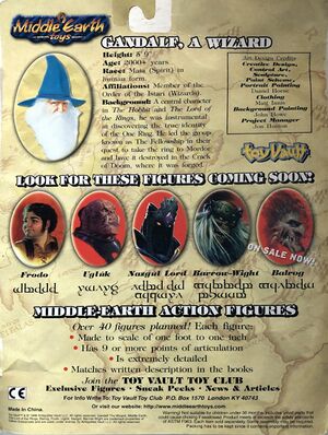 Middle-earth Toys - Gandalf (Grey) backside.jpg