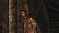 Elrohir in The Lord of the Rings: War in the North