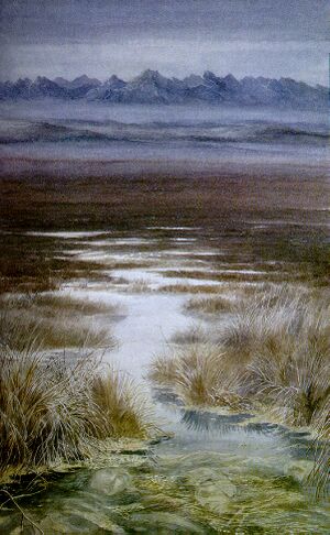 Alan Lee - The Passage of the Marshes.jpg