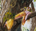 Thumbnail for version as of 09:16, 15 December 2025