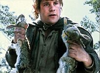 Rabbits in The Lord of the Rings: The Two Towers