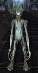 The Lord of the Rings Online