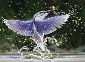 Alexander Ostrowski - Ithilien Kingfisher.jpg