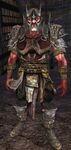 The Lord of the Rings Online