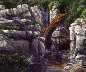 Rob Alexander - Bairanax At Home.jpg