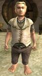 Saradoc Brandybuck in The Lord of the Rings Online