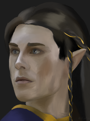Holdwine Meriadoc - Findekáno.png
