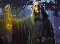 Gildor Inglorion in The Lord of the Rings Trading Card Game