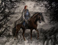 Thumbnail for version as of 17:26, 26 December 2012