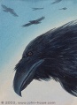 Thumbnail for version as of 19:11, 9 June 2012