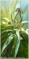 Thumbnail for version as of 15:41, 2 May 2006